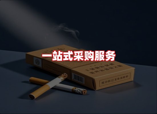 专业团队